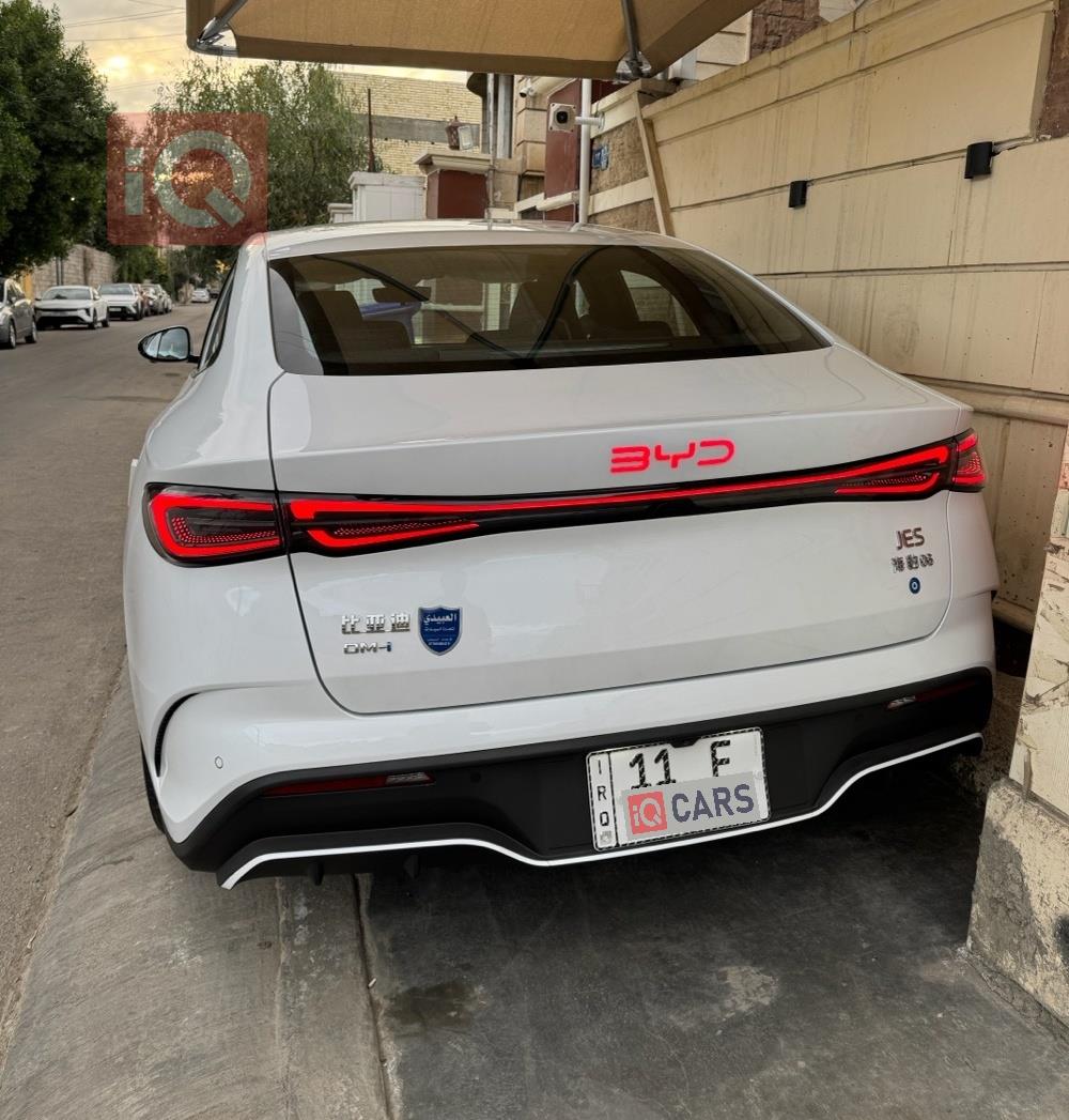 بي واي دي سيل 06 DM-i